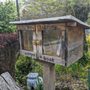 Little Free Library