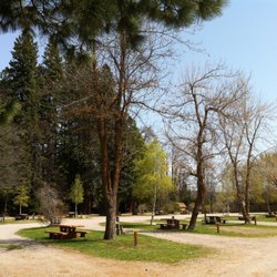 Koa Kampgrounds