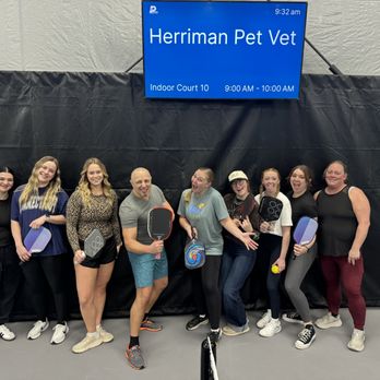 Herriman Pet Vet - Pre-Opening Team Building! - Emergency Pet Hospital Near Me - Riverton, Utah Herriman Pet Vet - Pre-Opening Team Building! - Emergency Pet Hospital Near Me - Riverton, Utah