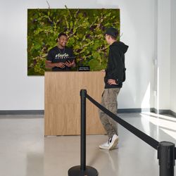 Nuna Harvest - Premium cannabis flower available at Nuna Harvest in Mount Vernon, NY