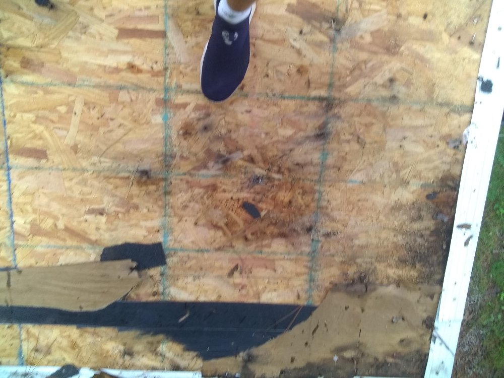 Slide of MV Roofing And Tree Services