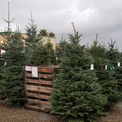 McShane's Christmas Tree Lot