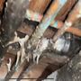 Photo of Expert Rooter & Plumbing