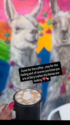 Gery’s Deli Cafe by null