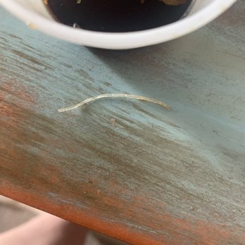 Smile Thai Cuisine - This is the plastic I found in my spring roll good thing I didn't choke on it. - Desserts Near Me - Chantilly, Virginia Smile Thai Cuisine - This is the plastic I found in my spring roll good thing I didn't choke on it. - Desserts Near Me - Chantilly, Virginia