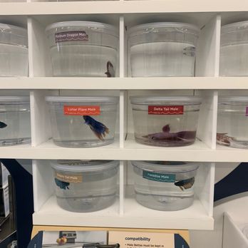 Petco - Pet Stores Near Me - San Mateo, California Petco - Pet Stores Near Me - San Mateo, California