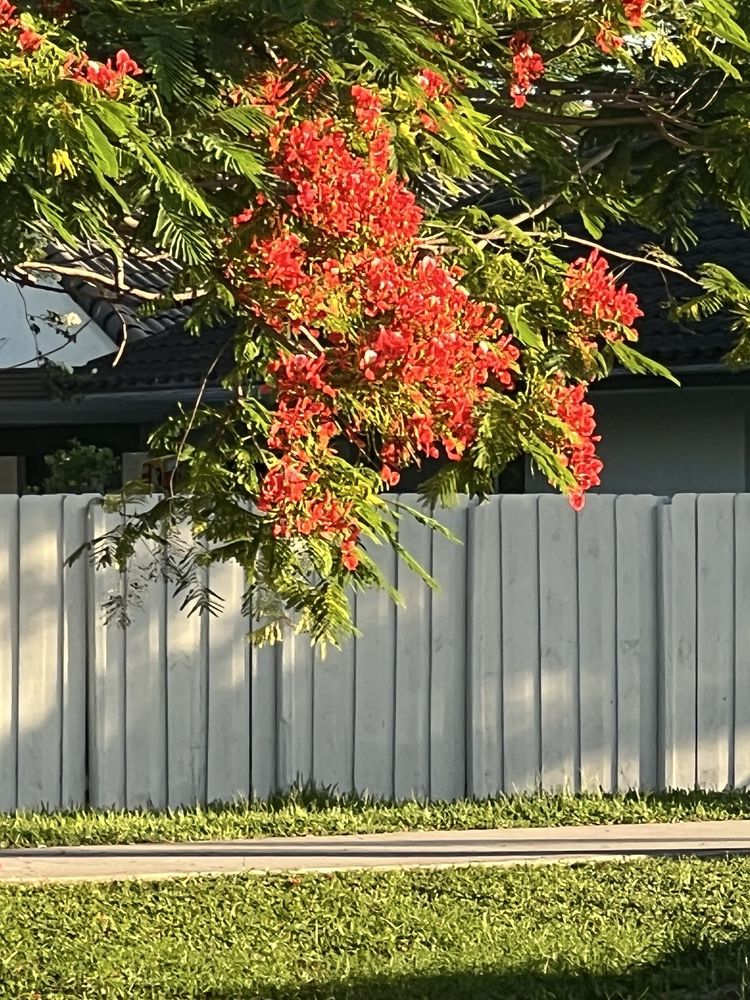 North Trail Park Image