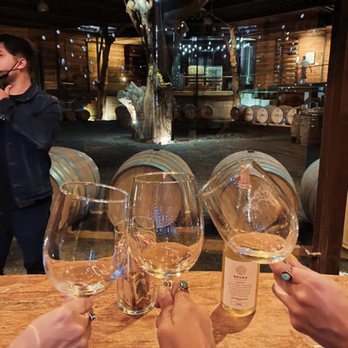 TURISTIKA MX - SALUD! disfruta con nosotros valle de Guadalupe / CHEERS!  enjoy with us Valle de Guadalupe. - Beer Tours Near Me - Tijuana, BCN