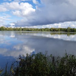 Etangs d'Apigné