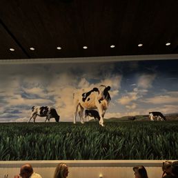 One whole wall is this picture and it's a long wall! But these are the only cows - the rest is grass and sky. One whole wall is this picture and it's a long wall! But these are the only cows - the rest is grass and sky.