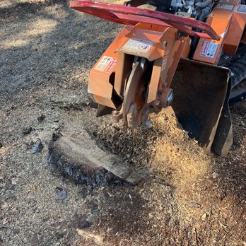 Cornerstone Tree Solutions - Stump grinding - Tree Services Near Me - Thomaston, Georgia Cornerstone Tree Solutions - Stump grinding - Tree Services Near Me - Thomaston, Georgia