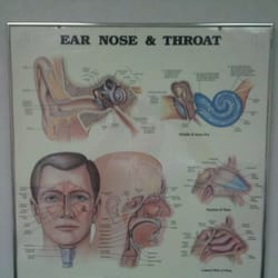 Eastern Virginia Ear Nose & Throat Specialists