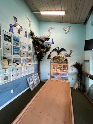 Whale, Sea Life, & Shark Museum by null