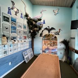 Whale Sealife and Shark Museum
