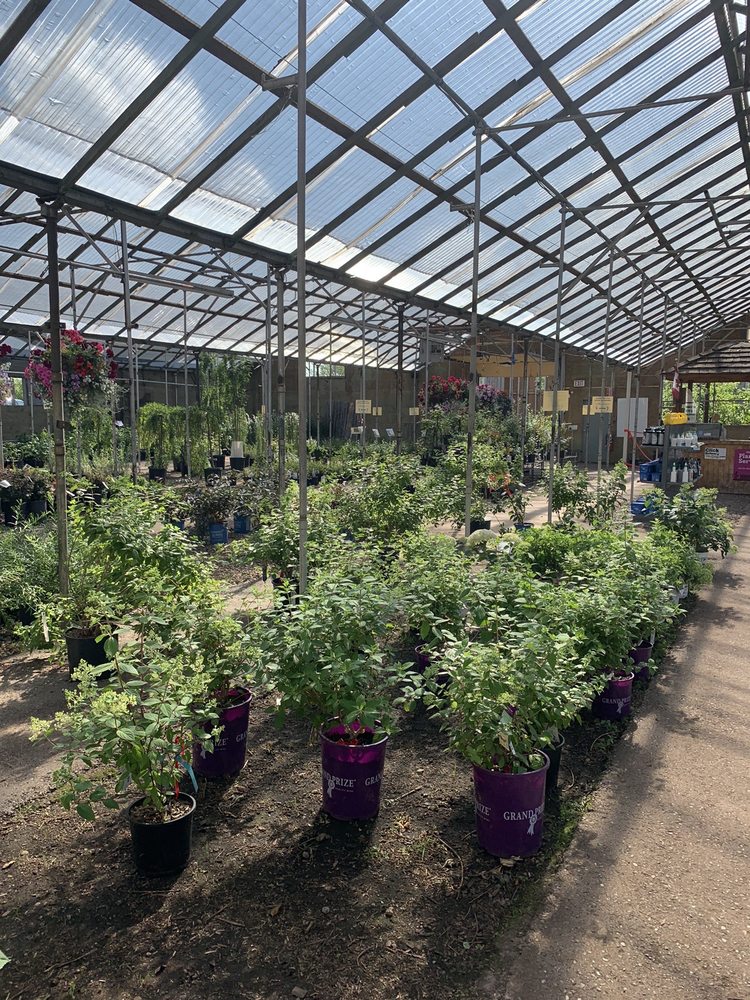 Green Acres Garden Center Calgary Fasci Garden