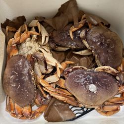 Song Hy Supermarket - Dungeon Crabs with a Quarter coin for comparison
