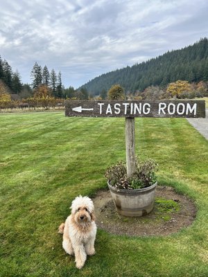 Pomeroy Cellars by null