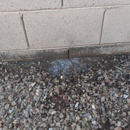 Neighbors wall