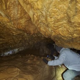 Crawling through the crevices