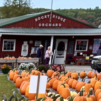 Rocky Ridge Orchard - Super cute! Great Donuts and Delicious Pies and Turnovers! Beautiful Apples and the prettiest Pumpkins! Jamaican Coffee is so good! - Bakeries Near Me - Bowdoin, Maine Rocky Ridge Orchard - Super cute! Great Donuts and Delicious Pies and Turnovers! Beautiful Apples and the prettiest Pumpkins! Jamaican Coffee is so good! - Bakeries Near Me - Bowdoin, Maine