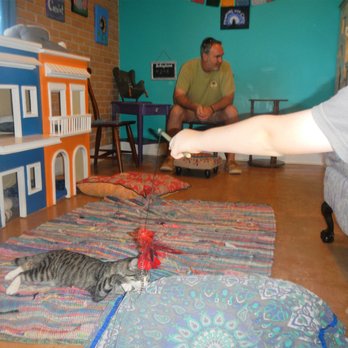 The Witty Whisker Cat Cafe - Themed Cafes Near Me - St. Augustine, Florida