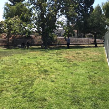 Larry J Marsalli - Dog Parks Near Me - Santa Clara, California
