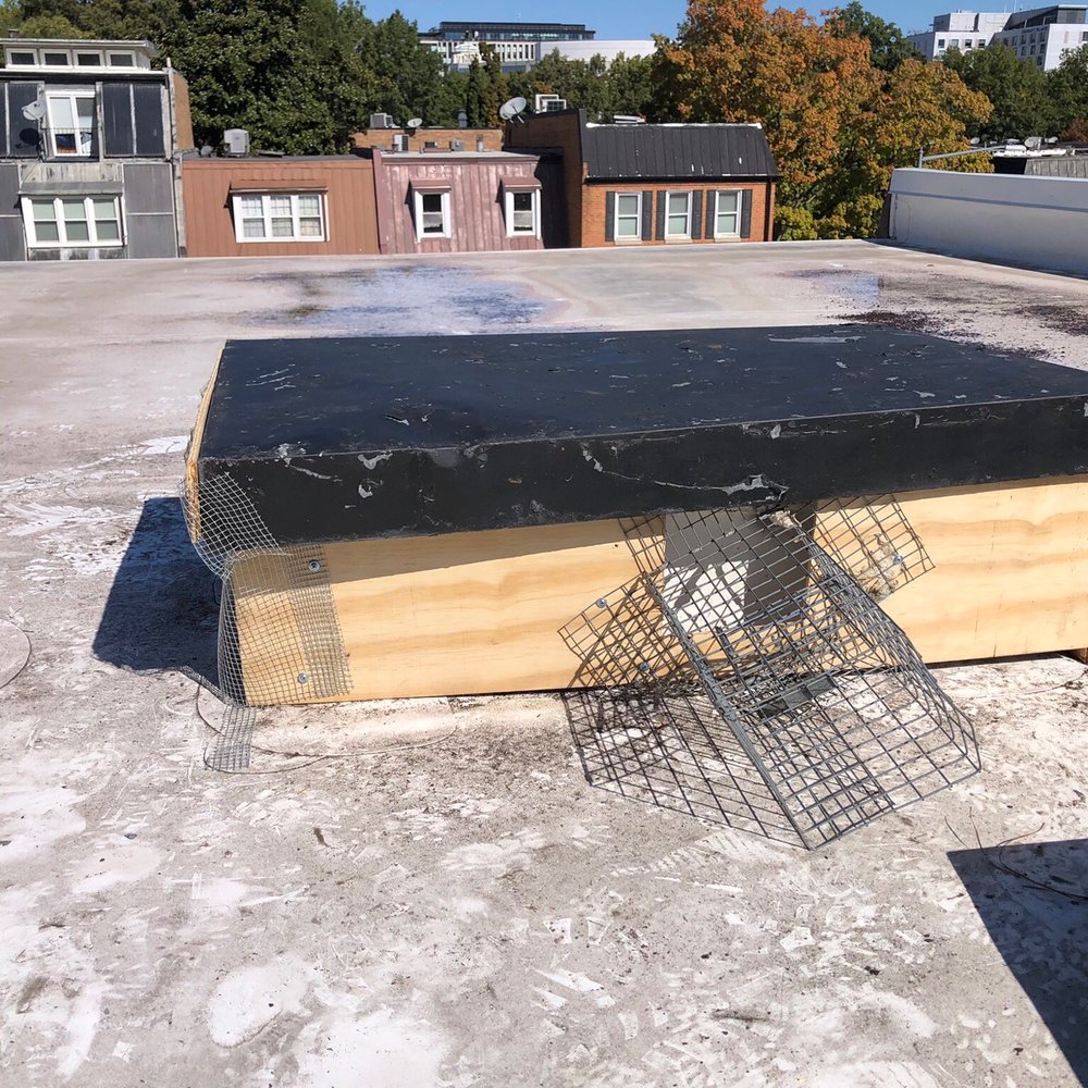 Potomac Pest Control - Raccoon exclusion device (installed by John) - Pest Control Near Me - Fairfax, Virginia