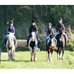 Dunany Equestrian Centre