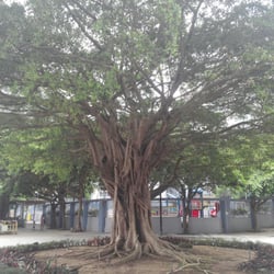 順利邨公園