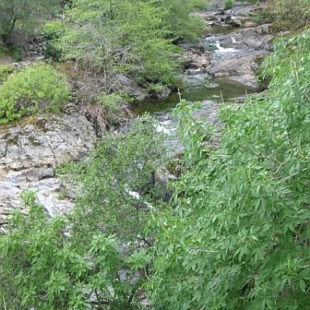 Hidden Falls Regional Park - 7 pools taken 4/14/07 - Parks Near Me - Auburn, California Hidden Falls Regional Park - 7 pools taken 4/14/07 - Parks Near Me - Auburn, California