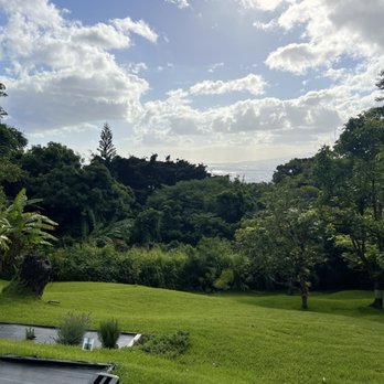 Experience Nutridge - View of the garden. - Performing Arts Near Me - Honolulu, Hawaii