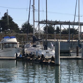 Monterey Bay Hydrobikes - Nap time - Rafting/Kayaking Near Me - Moss Landing, California Monterey Bay Hydrobikes - Nap time - Rafting/Kayaking Near Me - Moss Landing, California