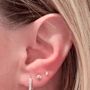 Photo of Green Light Body Piercing