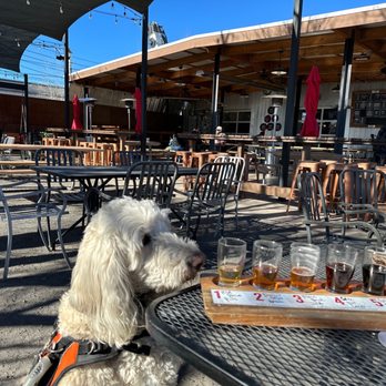 Canteen Brewhouse - Outdoor patio with Ernie - Gastropubs Near Me - Albuquerque, New Mexico