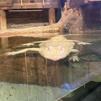 Newport Aquarium - Aquariums Near Me - Newport, Kentucky