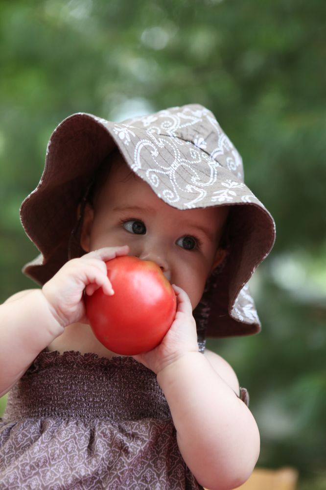 BRYN ATHYN BOUNTY FARM MARKET Updated September 2024 600 Tomlinson