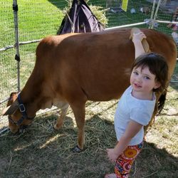 Kim's Birthday Party Petting Zoo