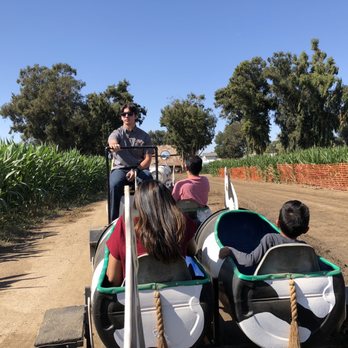 G&M Farms - Train ride through the corn fields - Attraction Farms Near Me - Livermore, California G&M Farms - Train ride through the corn fields - Attraction Farms Near Me - Livermore, California