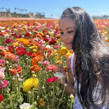The Flower Fields - Venues & Event Spaces Near Me - Carlsbad, California The Flower Fields - Venues & Event Spaces Near Me - Carlsbad, California