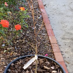 Four Winds Growers