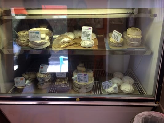Bohemian Creamery by null