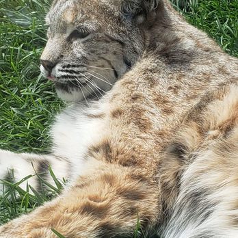 Animal Ark - Zoos Near Me - Reno, Nevada