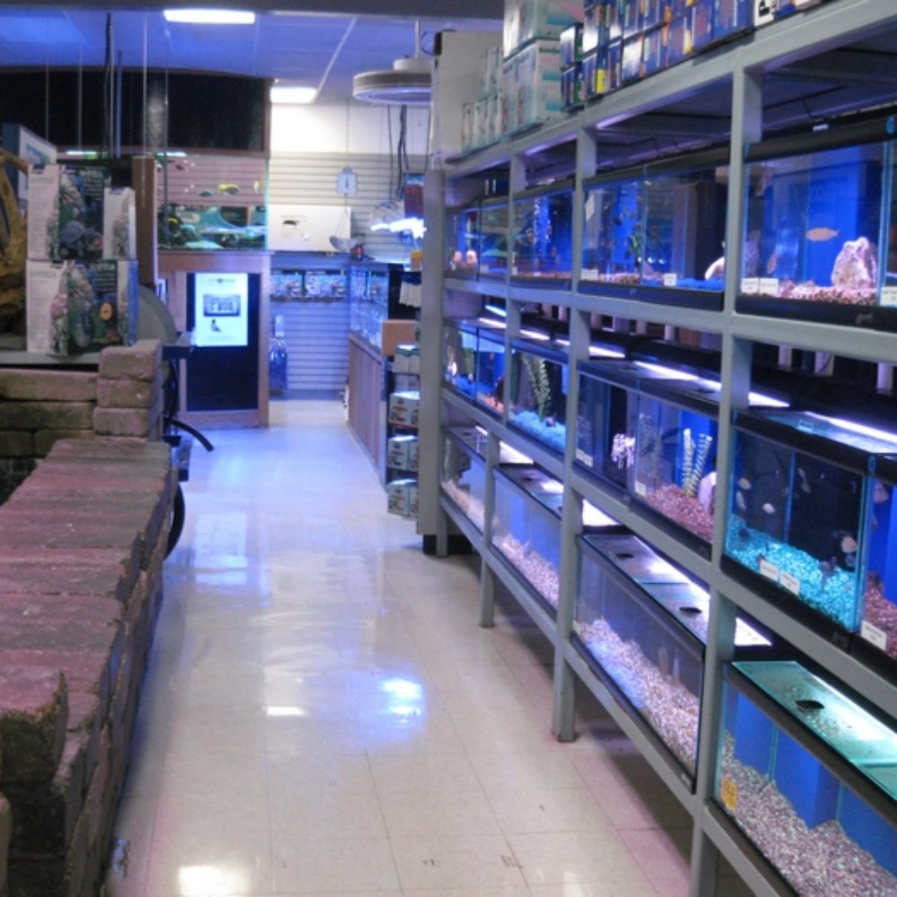 Aquatic Critter - Aquarium Services Near Me - Nashville, Tennessee