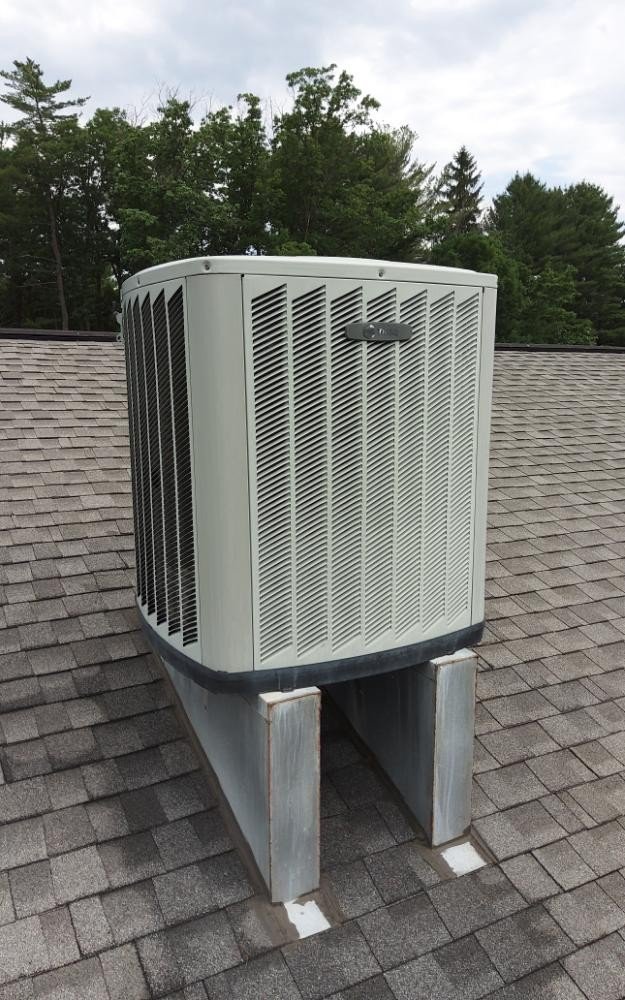 Slide of S J Kowalski