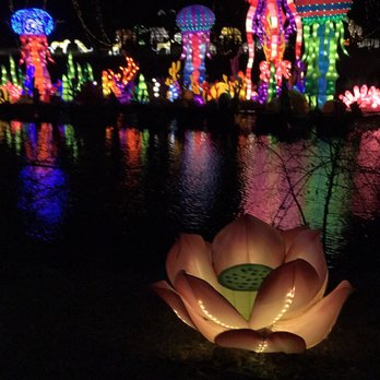Chinese Lantern Festival - Lotus - Festivals Near Me - Vienna, Virginia Chinese Lantern Festival - Lotus - Festivals Near Me - Vienna, Virginia