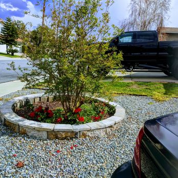 Millen Tree Services - Pomegranate Tree - Tree Services Near Me - Chino, California Millen Tree Services - Pomegranate Tree - Tree Services Near Me - Chino, California