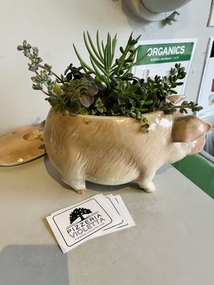 Pizzeria Violetta, Piedmont Ave by null