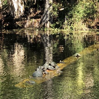 Singing River Tours - Tours Near Me - Dunnellon, Florida Singing River Tours - Tours Near Me - Dunnellon, Florida