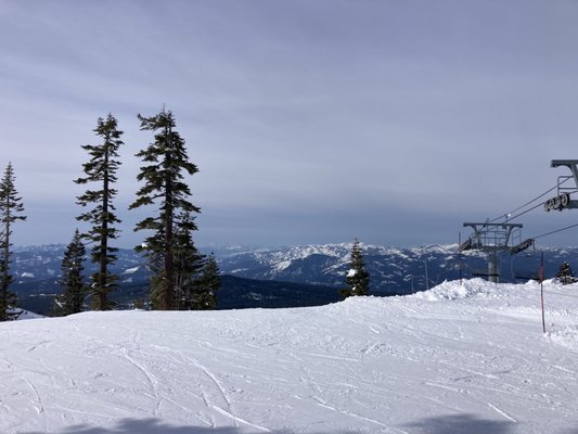 Mt. Shasta Ski Park by null