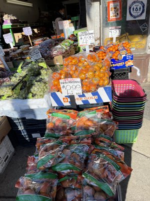 Bloor Fruit Market by null